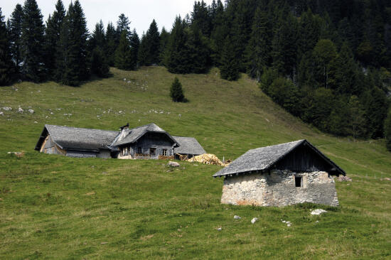 Le Parc naturel régional Gruyère Pays-d’Enhaut