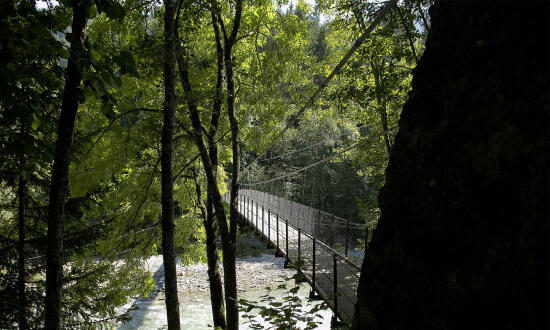 Pont Turrian - Pays d'Enhaut - été - Atelier Mamco