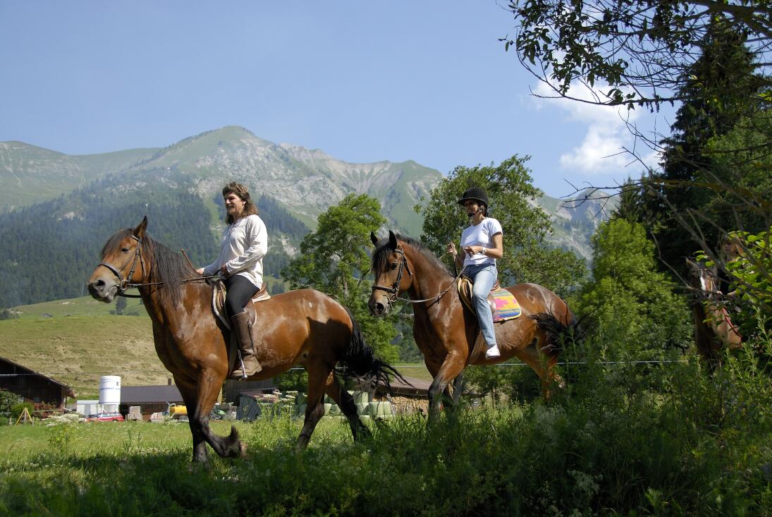 Manège de Château-d'Oex
