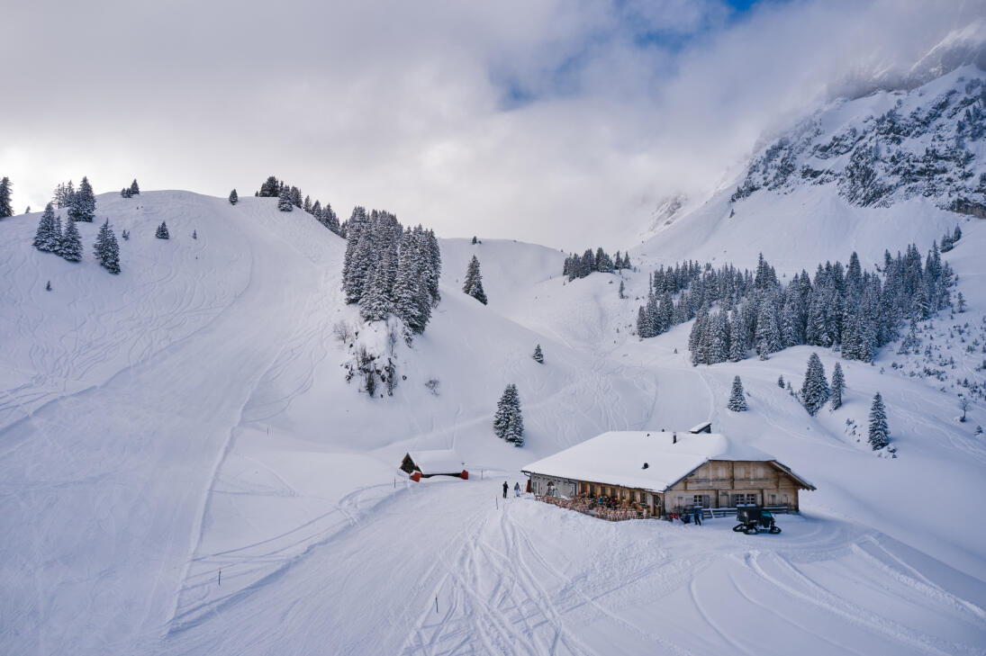 Soirée peau de phoque à la Videmanette