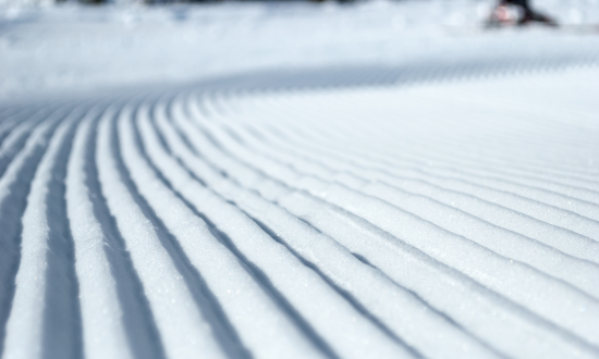 Winter walks snowy barrier and tree - Winter - Rougemont - no copyright