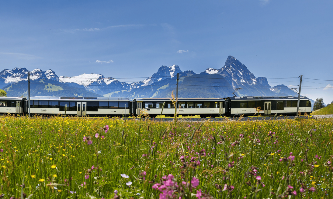 Régional Pass "Léman Alpes"