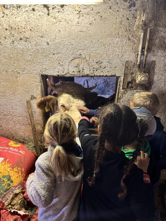 Famille Henchoz-Pichard