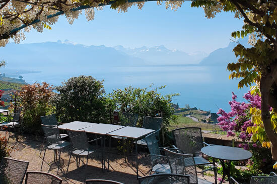 Domaine Bovy - Terrasse Vue