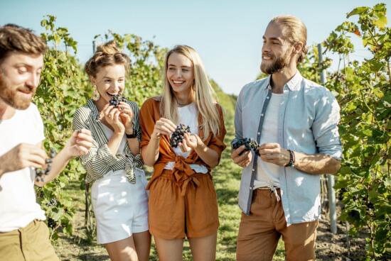 "Samedis Gourmands" - Dégustation et Repas Gastronomique