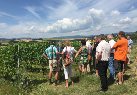 "Samedis Gourmands" - Dégustation et Repas Gastronomique