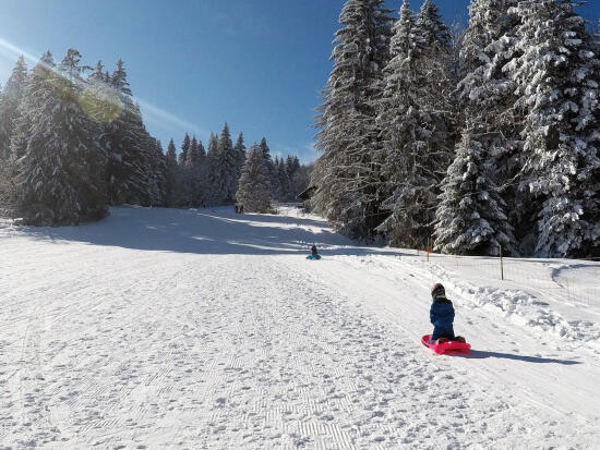 Piste de luge Les Pléiades (Télébob)