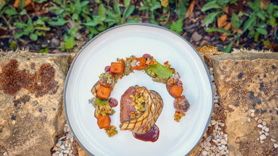 Château Salavaux (14 points GM)