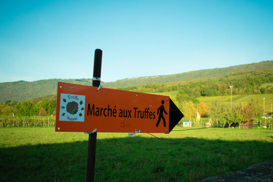 Marché aux Truffes de Bonvillars