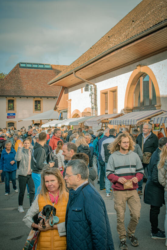 Marché aux Truffes de Bonvillars