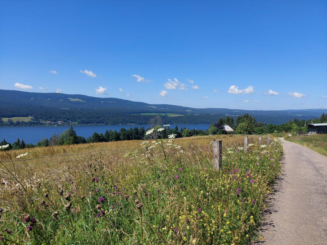 Balade gourmande Vallée de Joux