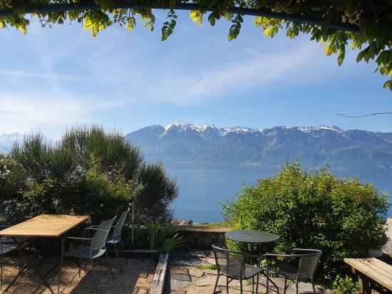 Domaine Bovy, Chexbres (2)