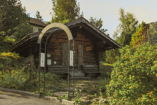 Jardin Alpin Les Tussilages aux Diablerets