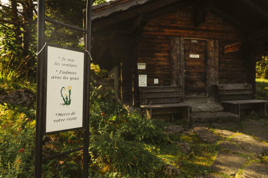 Jardin Alpin Les Tussilages aux Diablerets