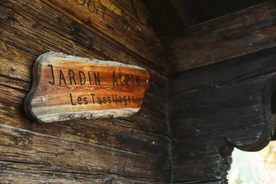 Jardin Alpin Les Tussilages aux Diablerets