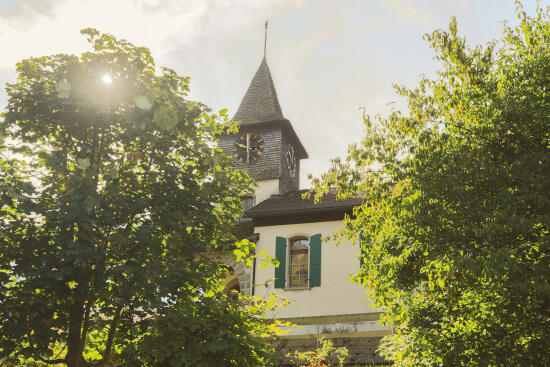 Jardin Alpin Les Tussilages aux Diablerets
