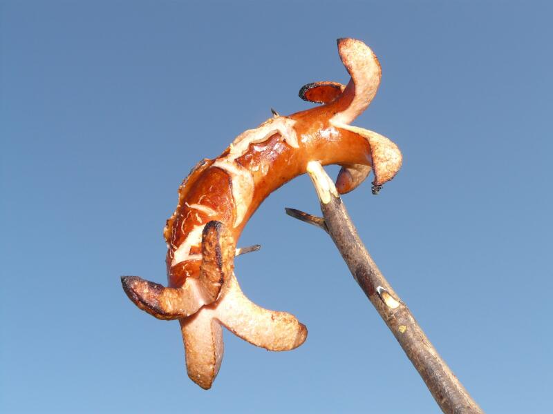 Cervelat auf blauem Hintergrund