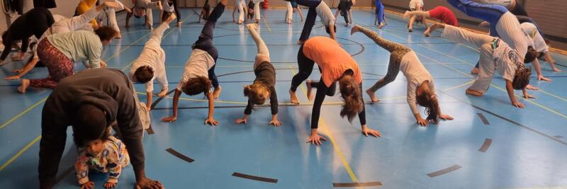 Vevey-sur-lac sports program