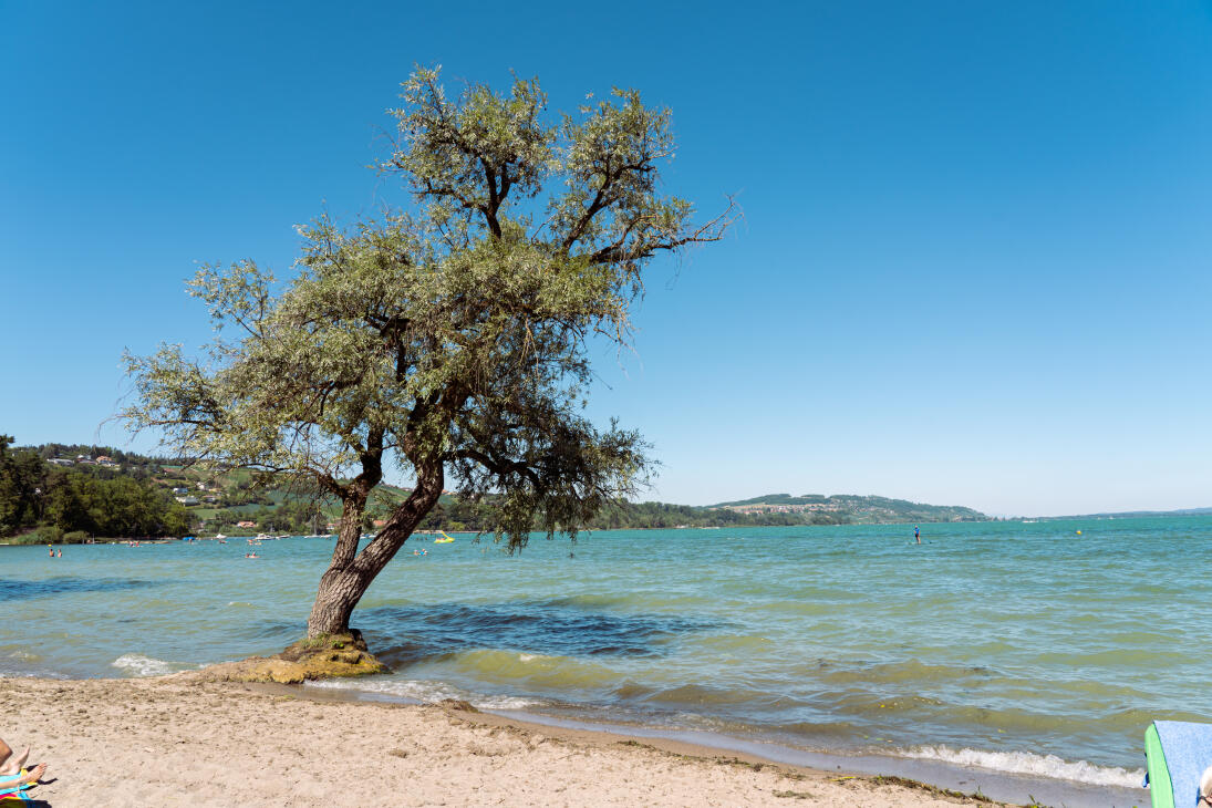 Strand Salavaux