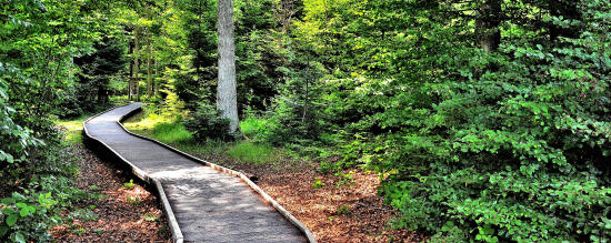 Sentier Handicap et Nature