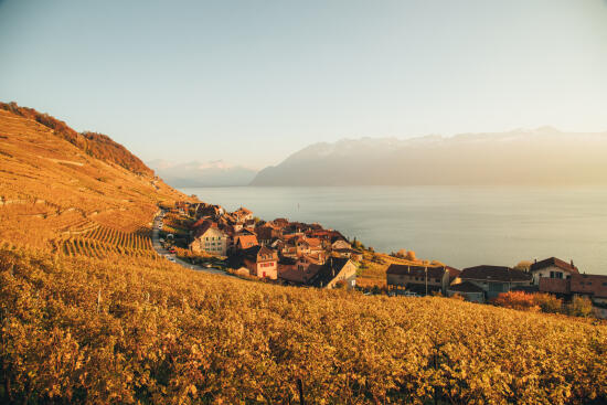 UNESCO-Weinterrassen von Lavaux
