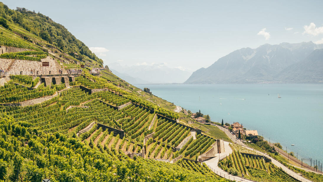 UNESCO-Weinterrassen von Lavaux