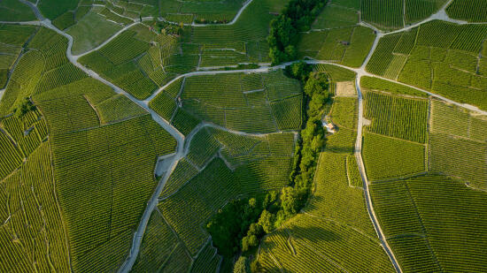 UNESCO-Weinterrassen von Lavaux