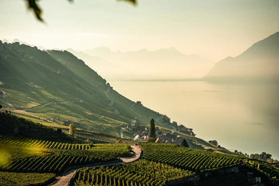 UNESCO-Weinterrassen von Lavaux
