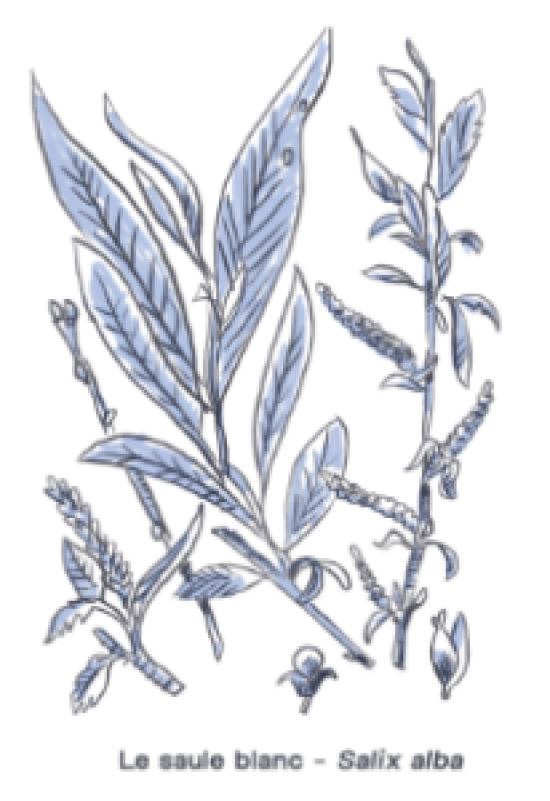 Capture-decran-2026-04-25-155003-1-206x300.png