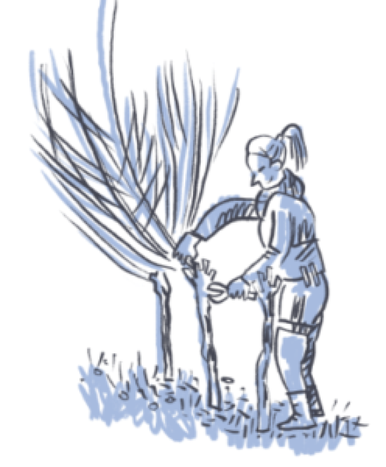 Capture-decran-2026-04-25-154840-1-248x300.png
