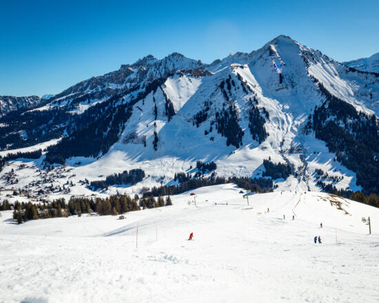 Domaine skiable Leysin-Les Mosses-La Lécherette
