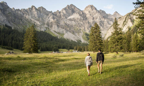 Pâturage Solalex - Villars - été - Nathalie Racheter