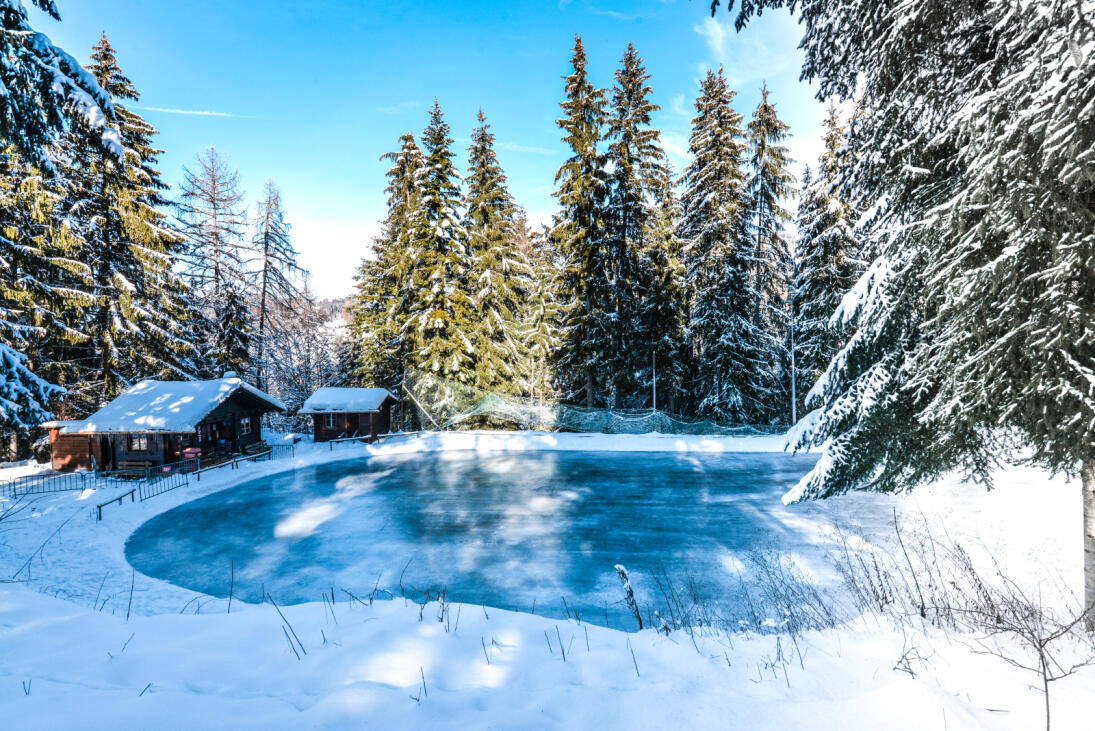 Patinoire naturelle de Caux entourée de sapins enneigés