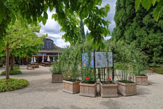 Musée du Bois - Expo Vannerie (2)