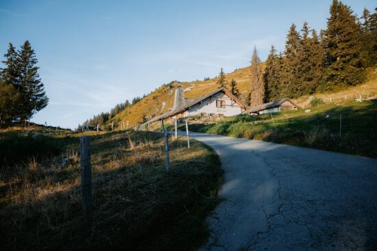 Alm von Le Temeley - Sommer - Leysin