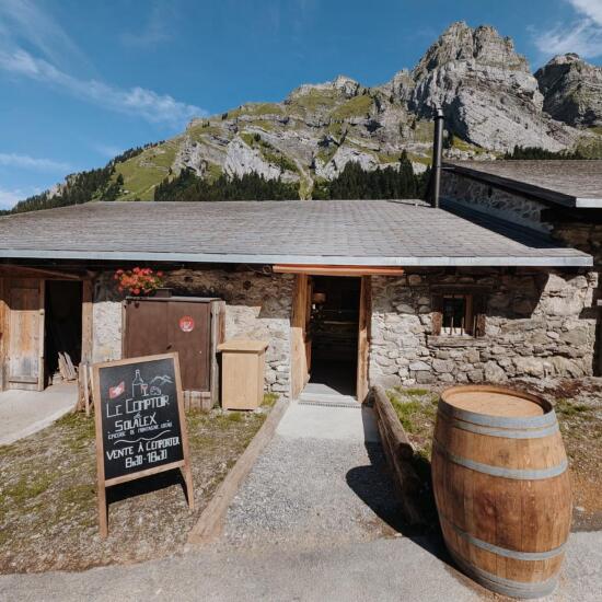 2 - comptoir de Solalex