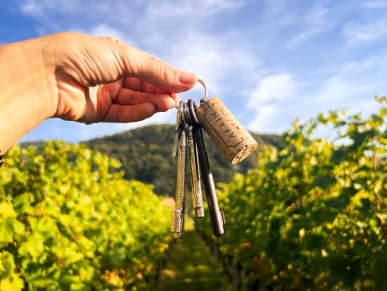 AV - Magazine - Expériences - Clé des vignes