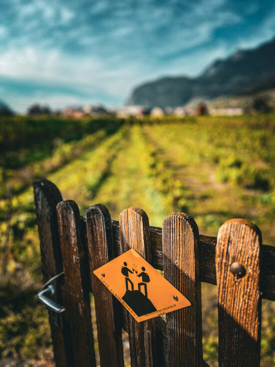 AV - Magazine - Expériences - Clé des vignes