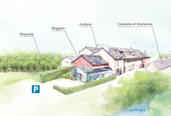 Moulin de Sévery - Visite de l'Huilerie