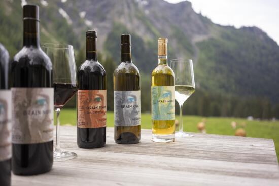 Miroir d'Argentine_vins