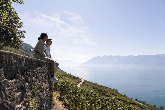 La Route des Grands Crus - ST