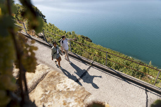 La Route des Grands Crus - ST