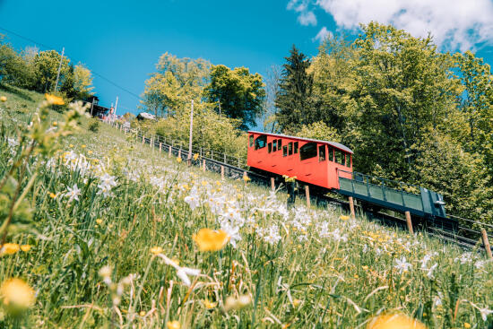 Funiculaire Les Avants - Sonloup