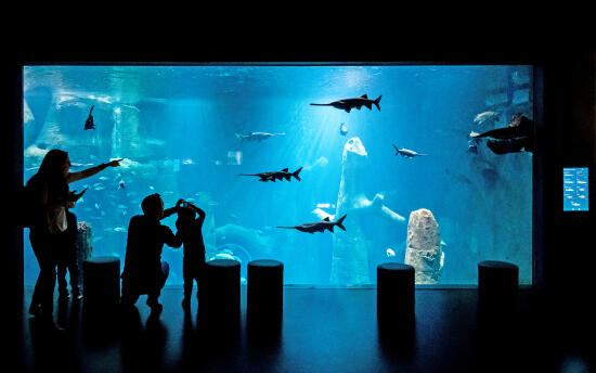 AQUATIS Aquarium-Vivarium Lausanne (1)